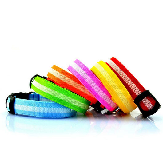 Nylon LED Safety Collar