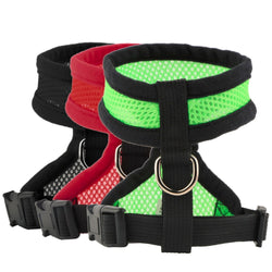 Quick-Attach Dog Harness