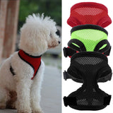 Quick-Attach Dog Harness